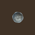 Metal Cabbage Bowl